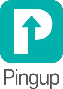 Pingup Logo